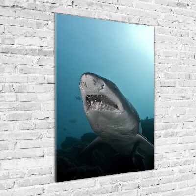 Tableau imprimé sur verre Grand requin