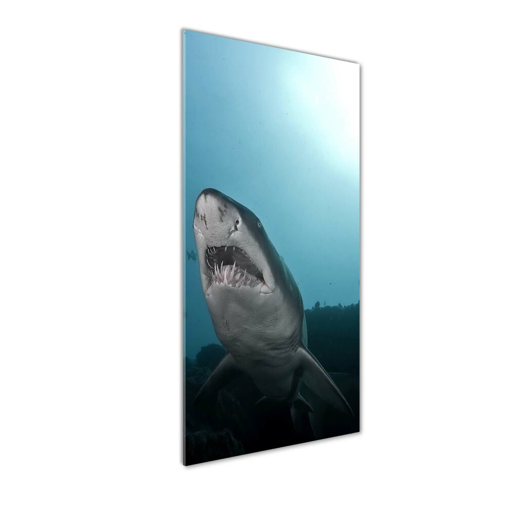 Tableau imprimé sur verre Grand requin