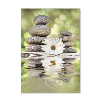 Tableau photo sur verre Pierres et fleurs