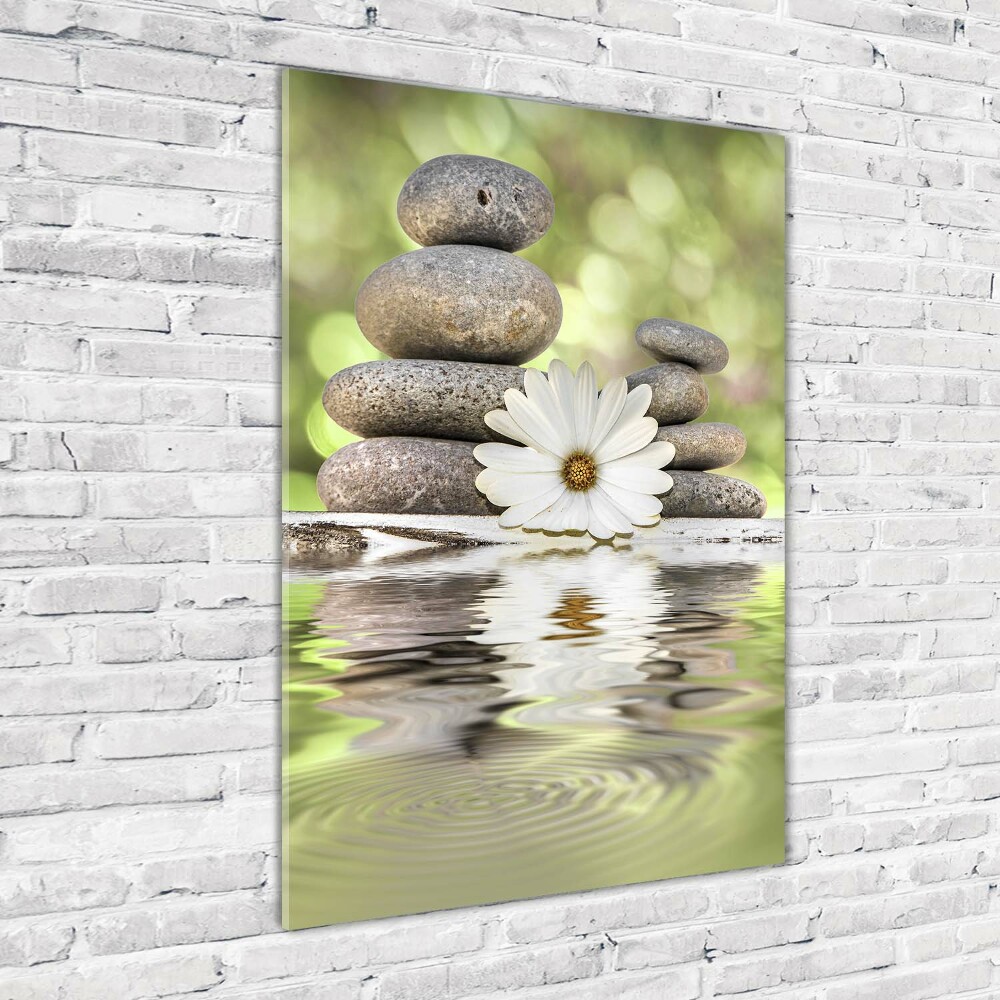 Tableau photo sur verre Pierres et fleurs