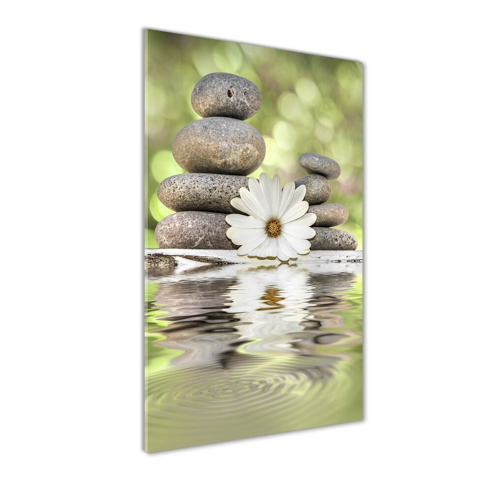 Tableau photo sur verre Pierres et fleurs