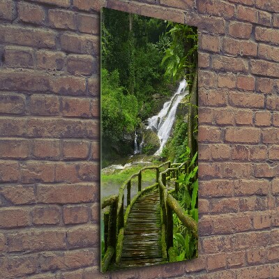 Tableau photo sur verre Chemin de jungle