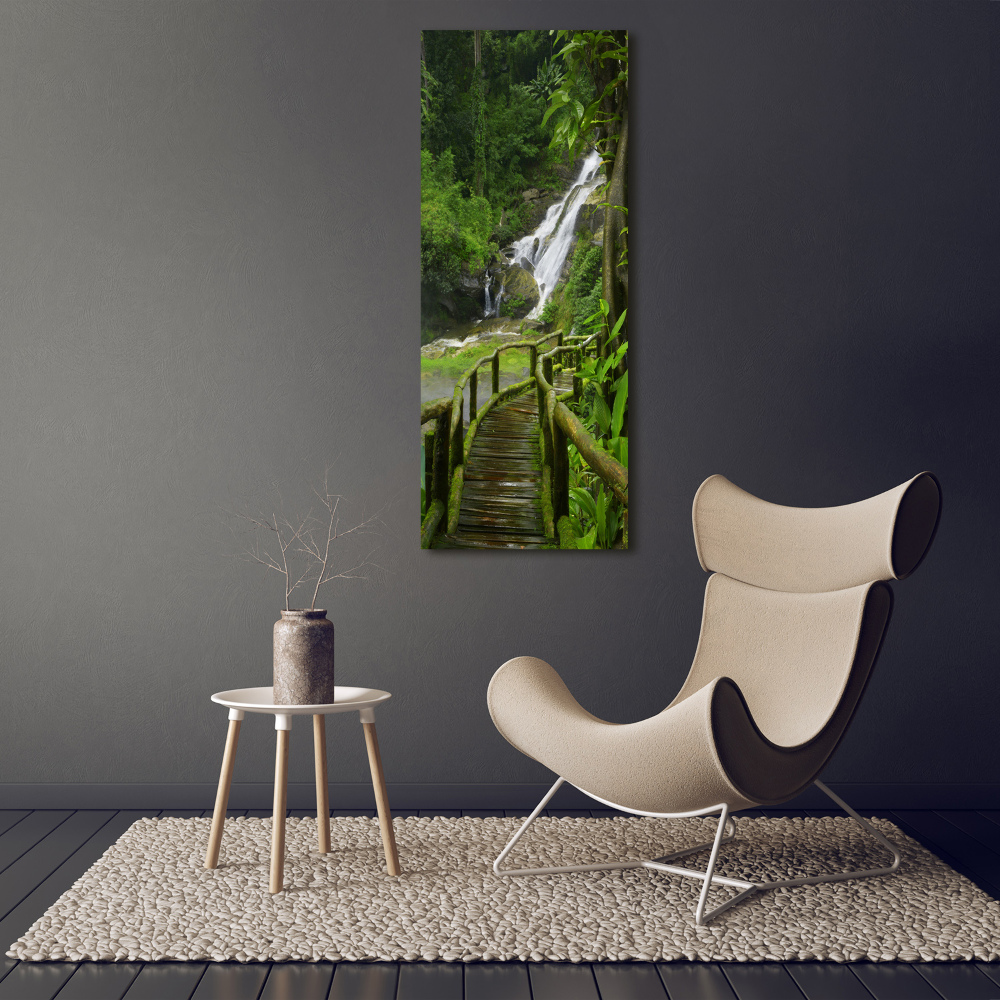 Tableau photo sur verre Chemin de jungle