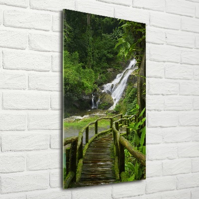 Tableau photo sur verre Chemin de jungle