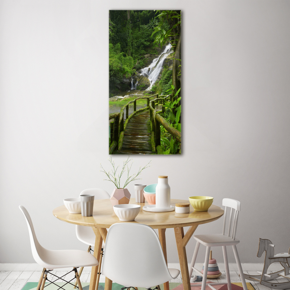 Tableau photo sur verre Chemin de jungle