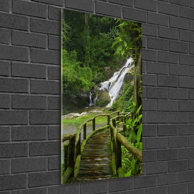 Tableau photo sur verre Chemin de jungle