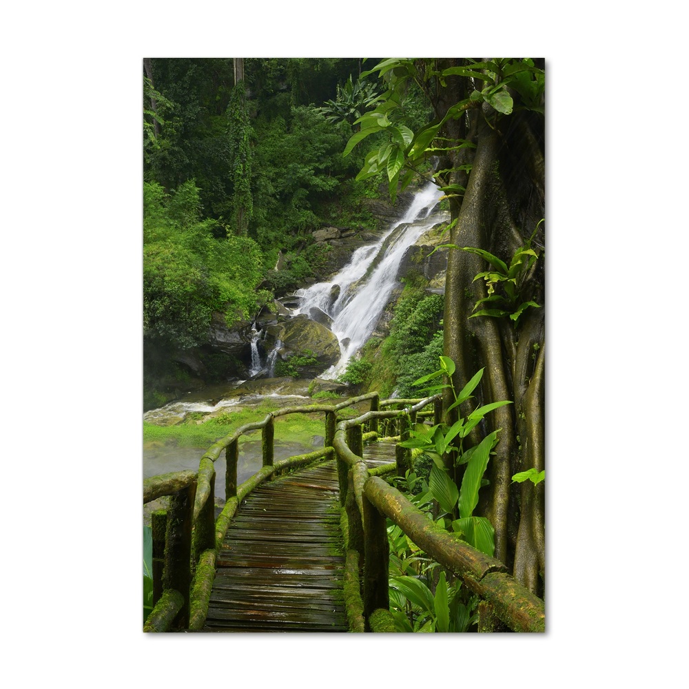 Tableau photo sur verre Chemin de jungle