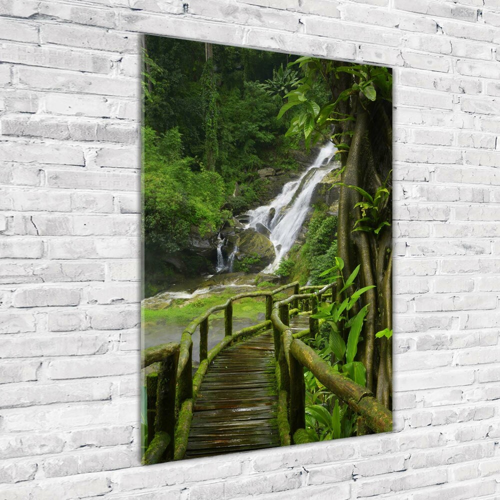 Tableau photo sur verre Chemin de jungle