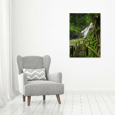 Tableau photo sur verre Chemin de jungle