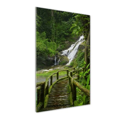 Tableau photo sur verre Chemin de jungle