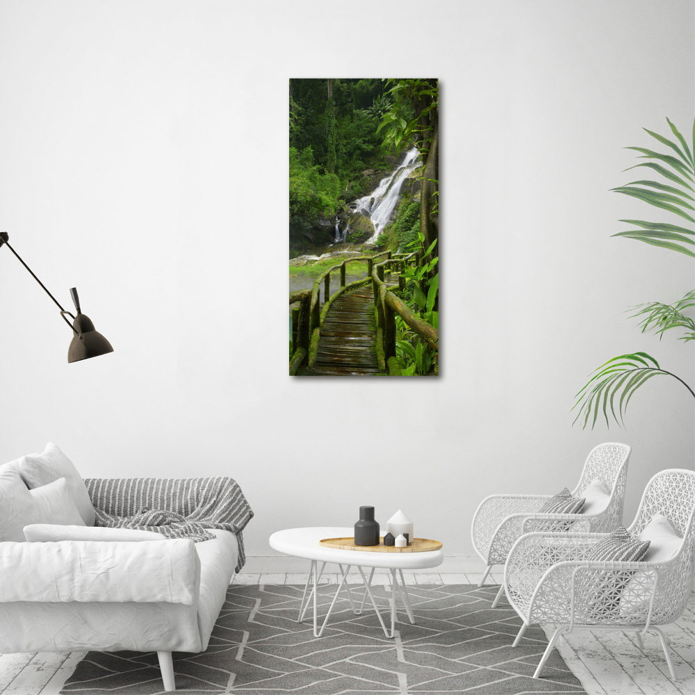 Tableau photo sur verre Chemin de jungle