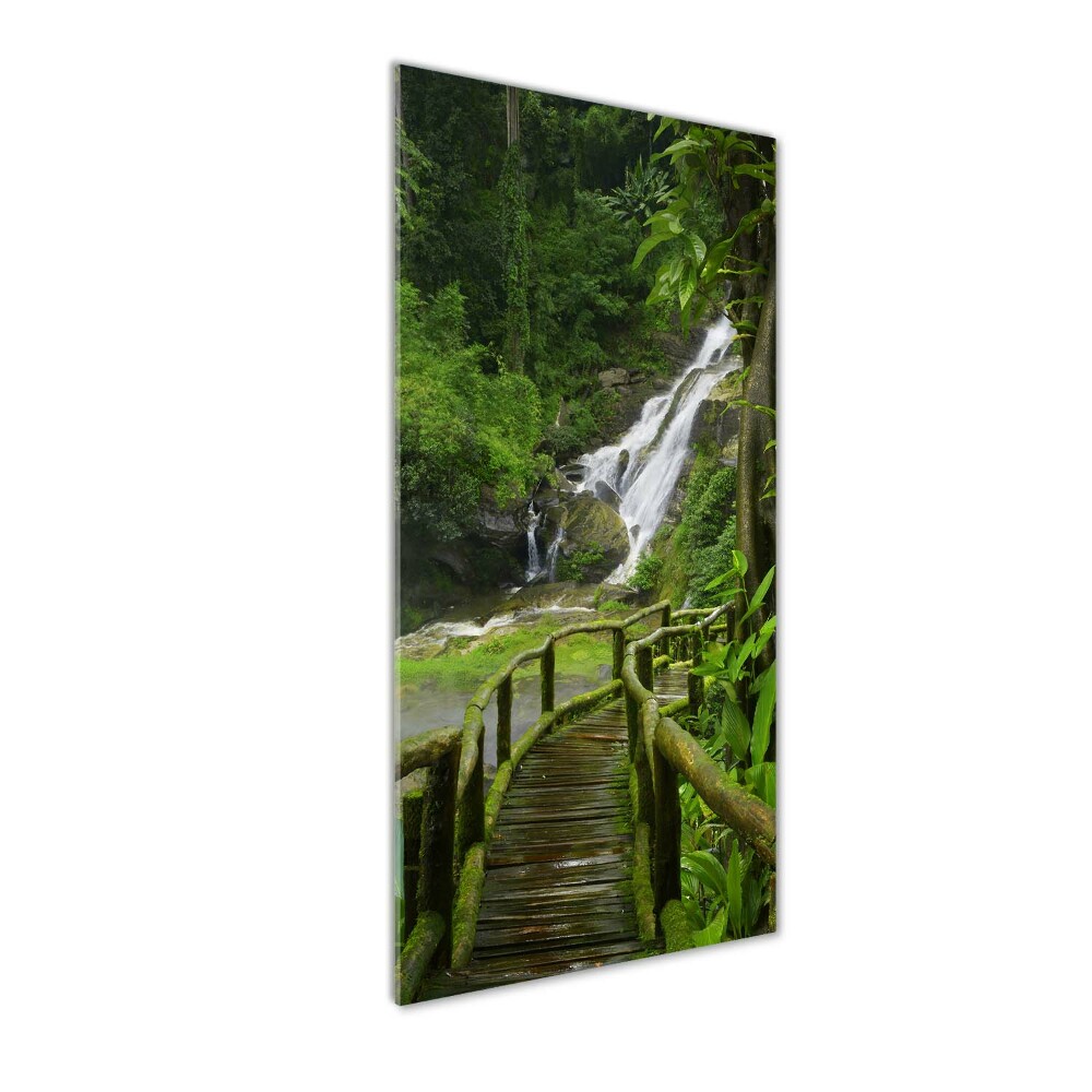 Tableau photo sur verre Chemin de jungle