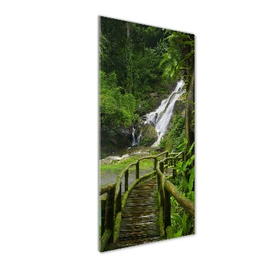 Tableau photo sur verre Chemin de jungle