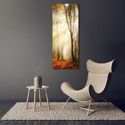 Tableau photo sur verre Forêt en automne