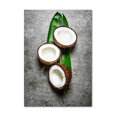 Tableau imprimé sur verre Noix de coco sur une feuille