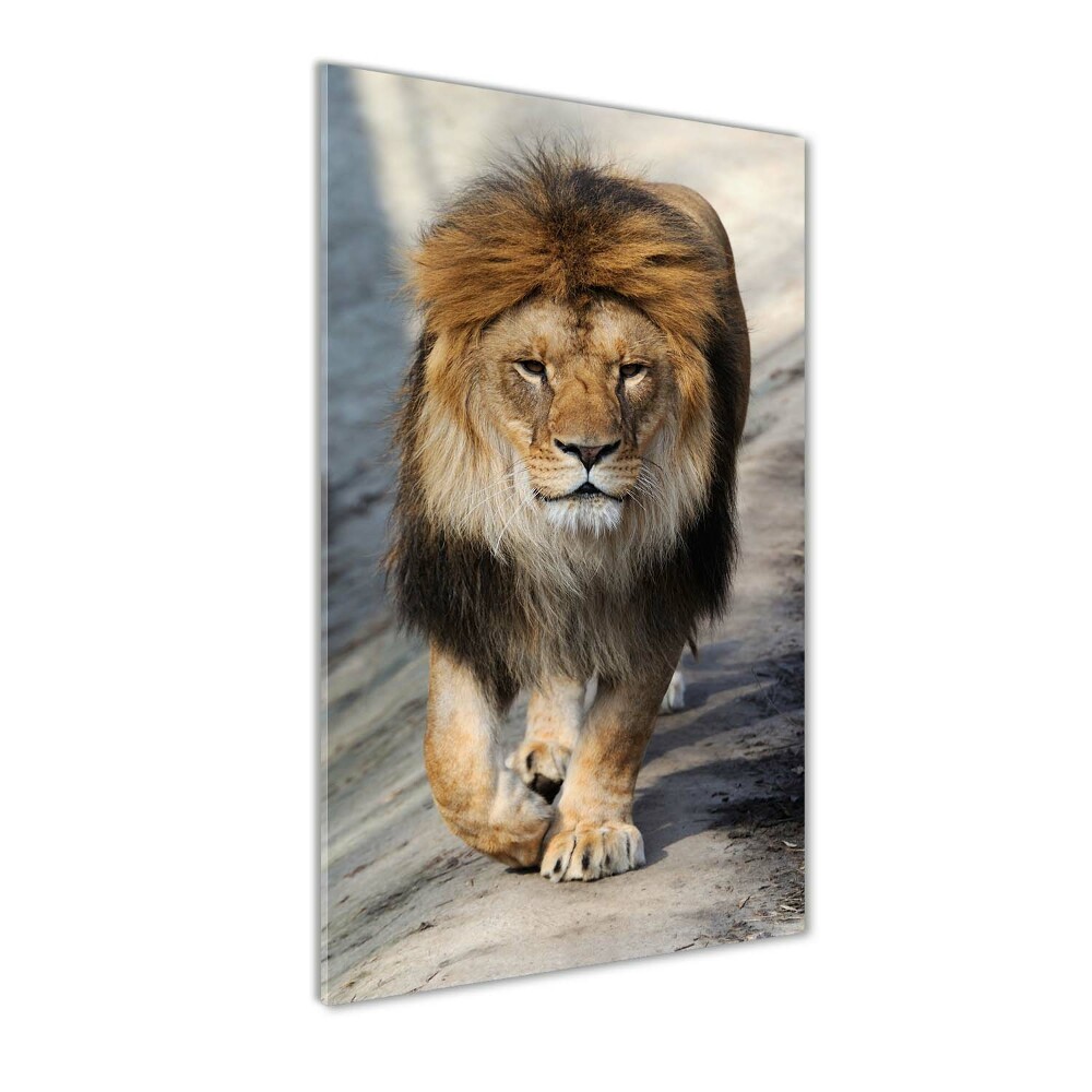 Tableau photo sur verre Lion