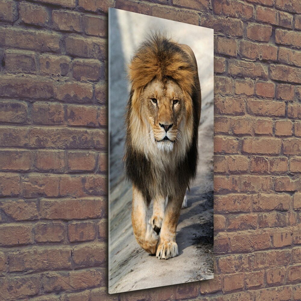 Tableau photo sur verre Lion