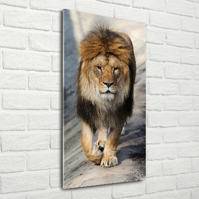 Tableau photo sur verre Lion