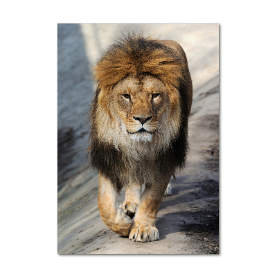 Tableau photo sur verre Lion