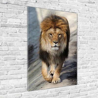 Tableau photo sur verre Lion