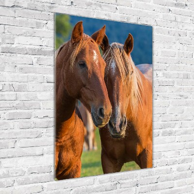 Tableau photo sur verre Deux chevaux