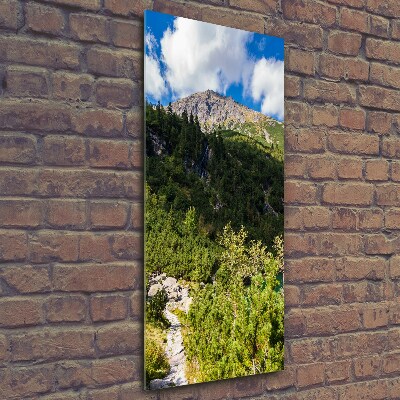 Tableau en verre Regard sur la mer dans les Tatras