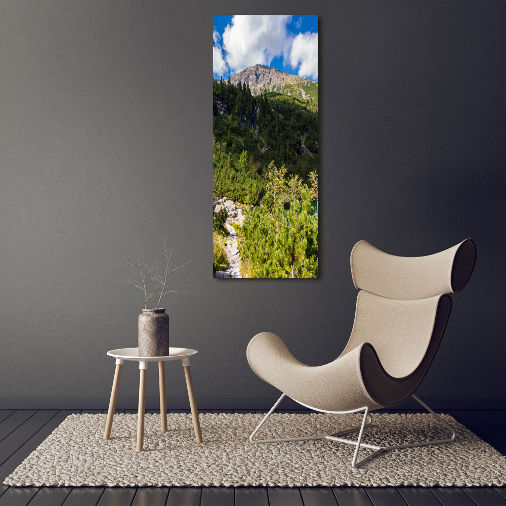 Tableau en verre Regard sur la mer dans les Tatras