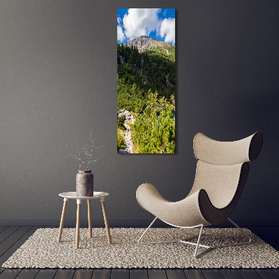 Tableau en verre Regard sur la mer dans les Tatras