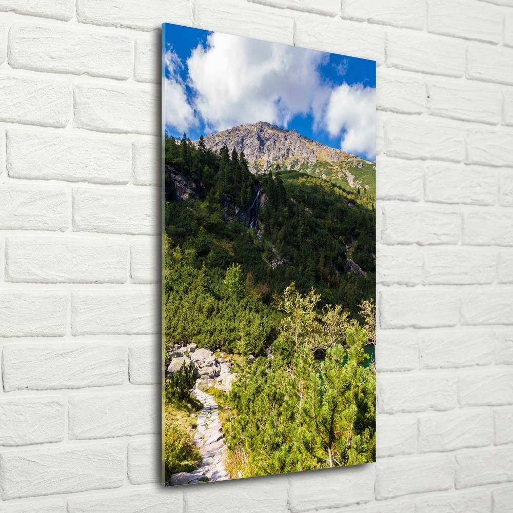 Tableau en verre Regard sur la mer dans les Tatras