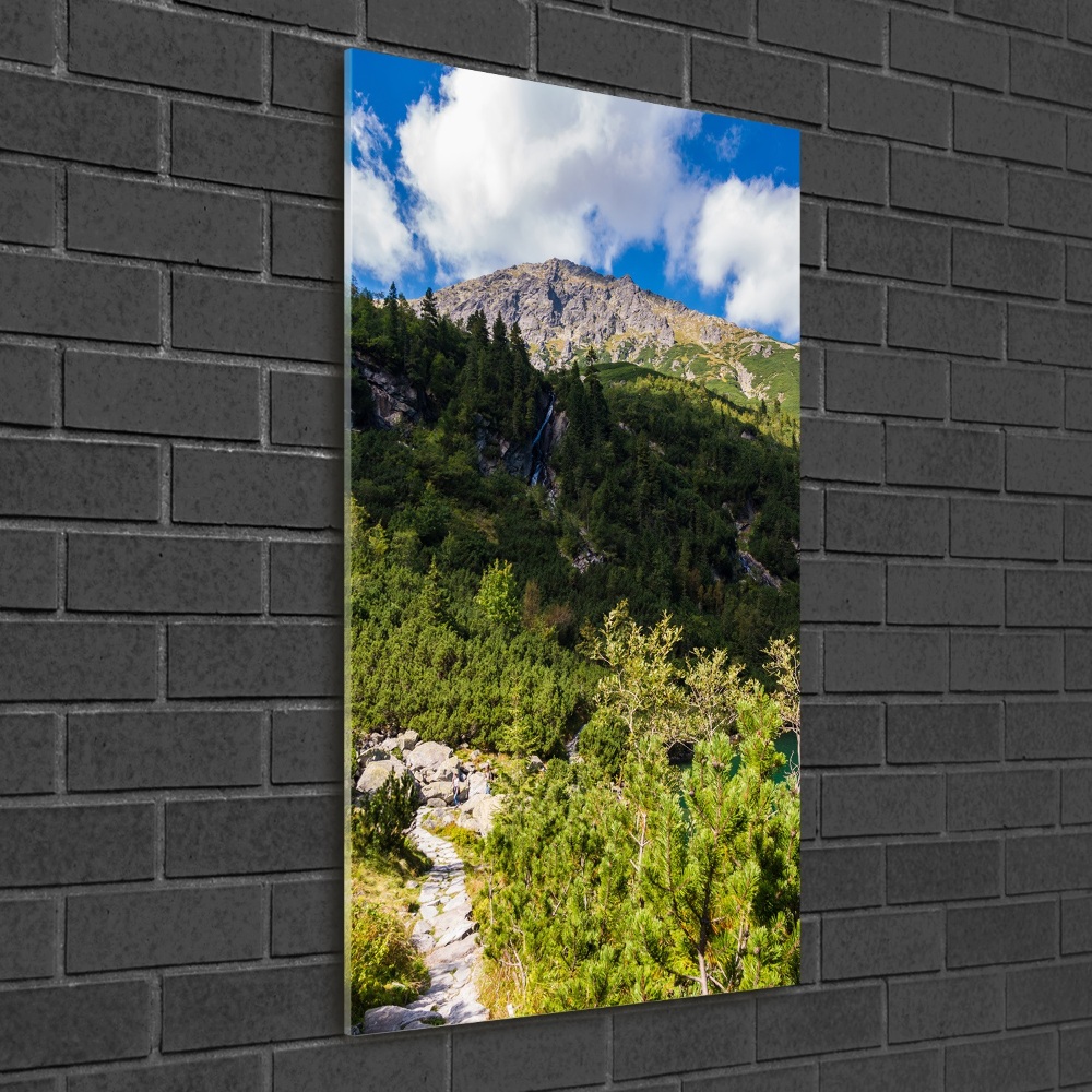 Tableau en verre Regard sur la mer dans les Tatras