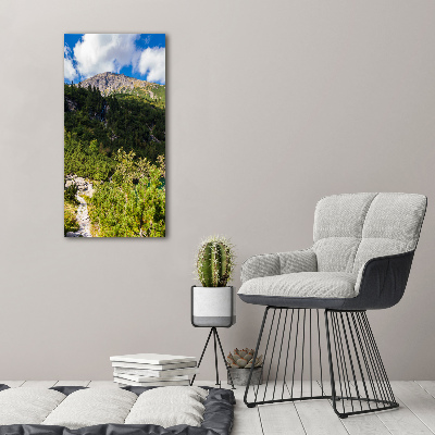 Tableau en verre Regard sur la mer dans les Tatras