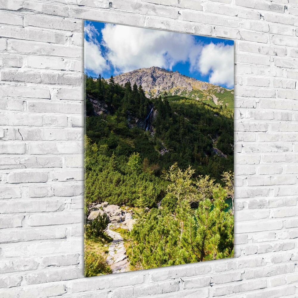 Tableau en verre Regard sur la mer dans les Tatras