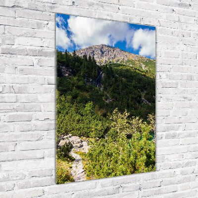 Tableau en verre Regard sur la mer dans les Tatras