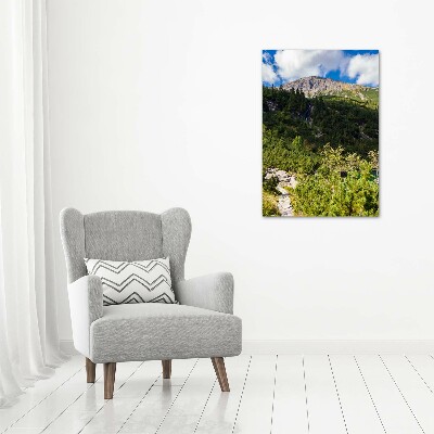 Tableau en verre Regard sur la mer dans les Tatras