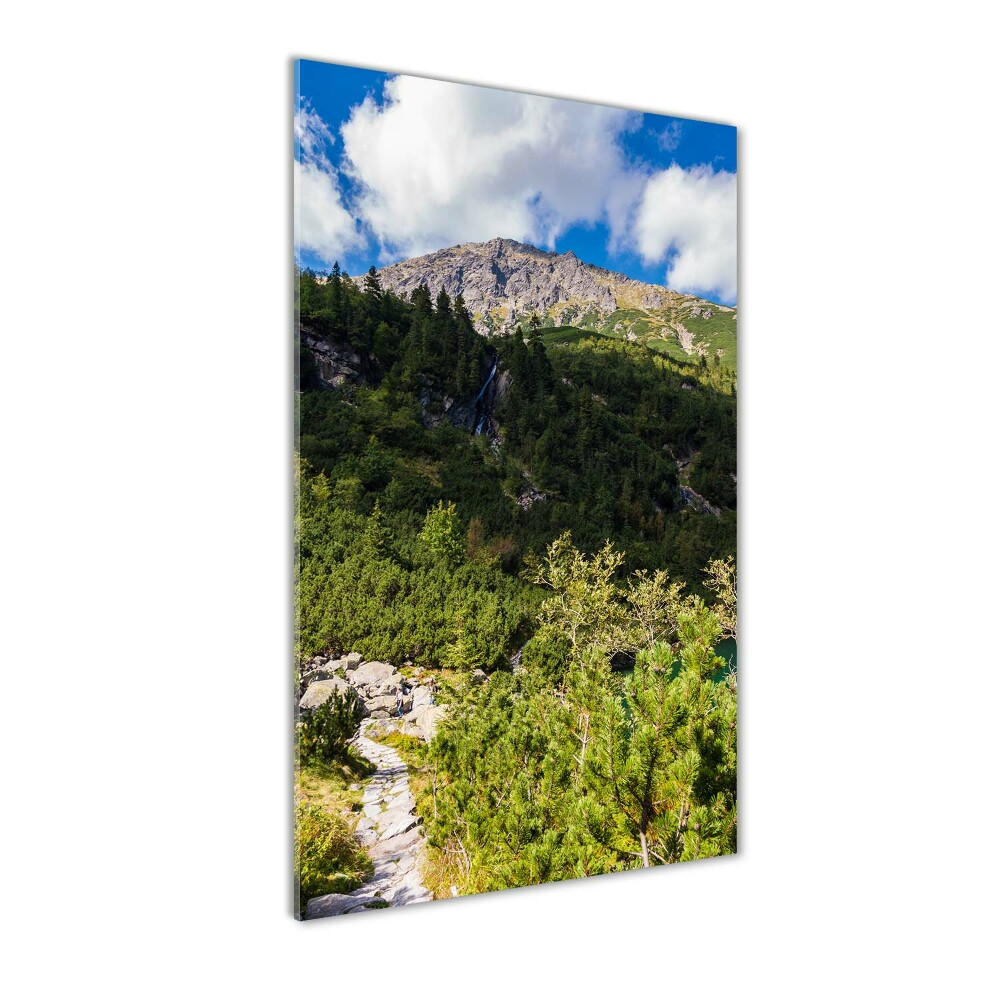 Tableau en verre Regard sur la mer dans les Tatras