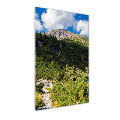 Tableau en verre Regard sur la mer dans les Tatras