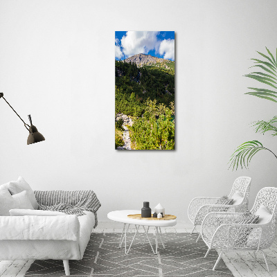 Tableau en verre Regard sur la mer dans les Tatras