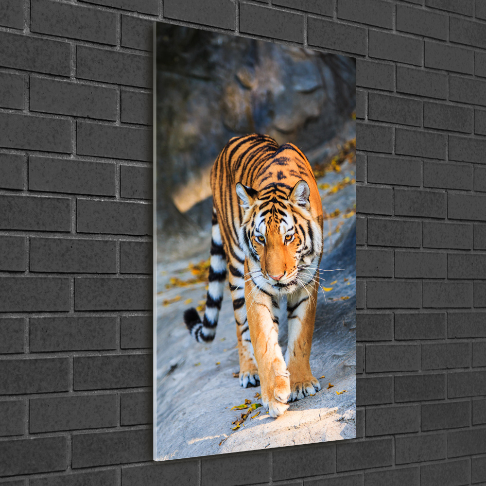 Tableau photo sur verre Tigre