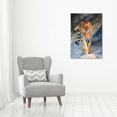 Tableau photo sur verre Tigre