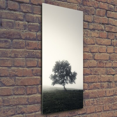 Tableau en verre Arbre dans la brume