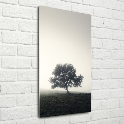 Tableau en verre Arbre dans la brume