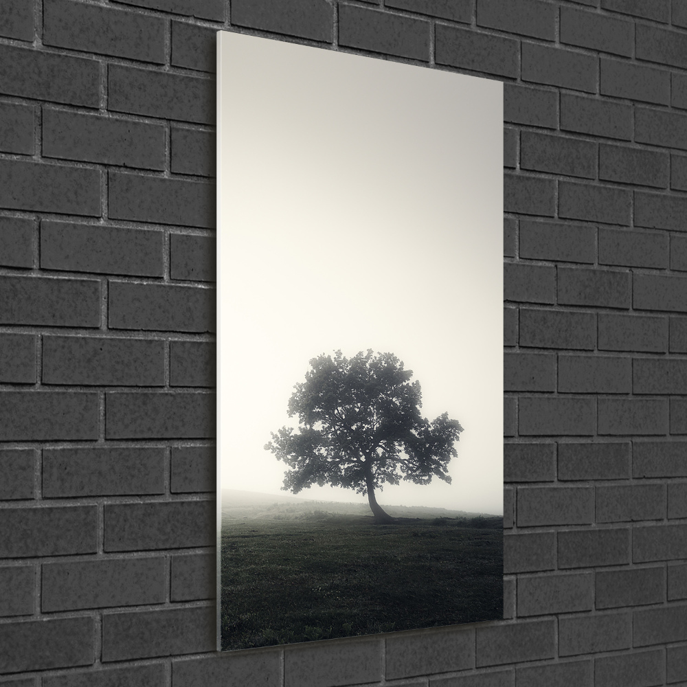 Tableau en verre Arbre dans la brume