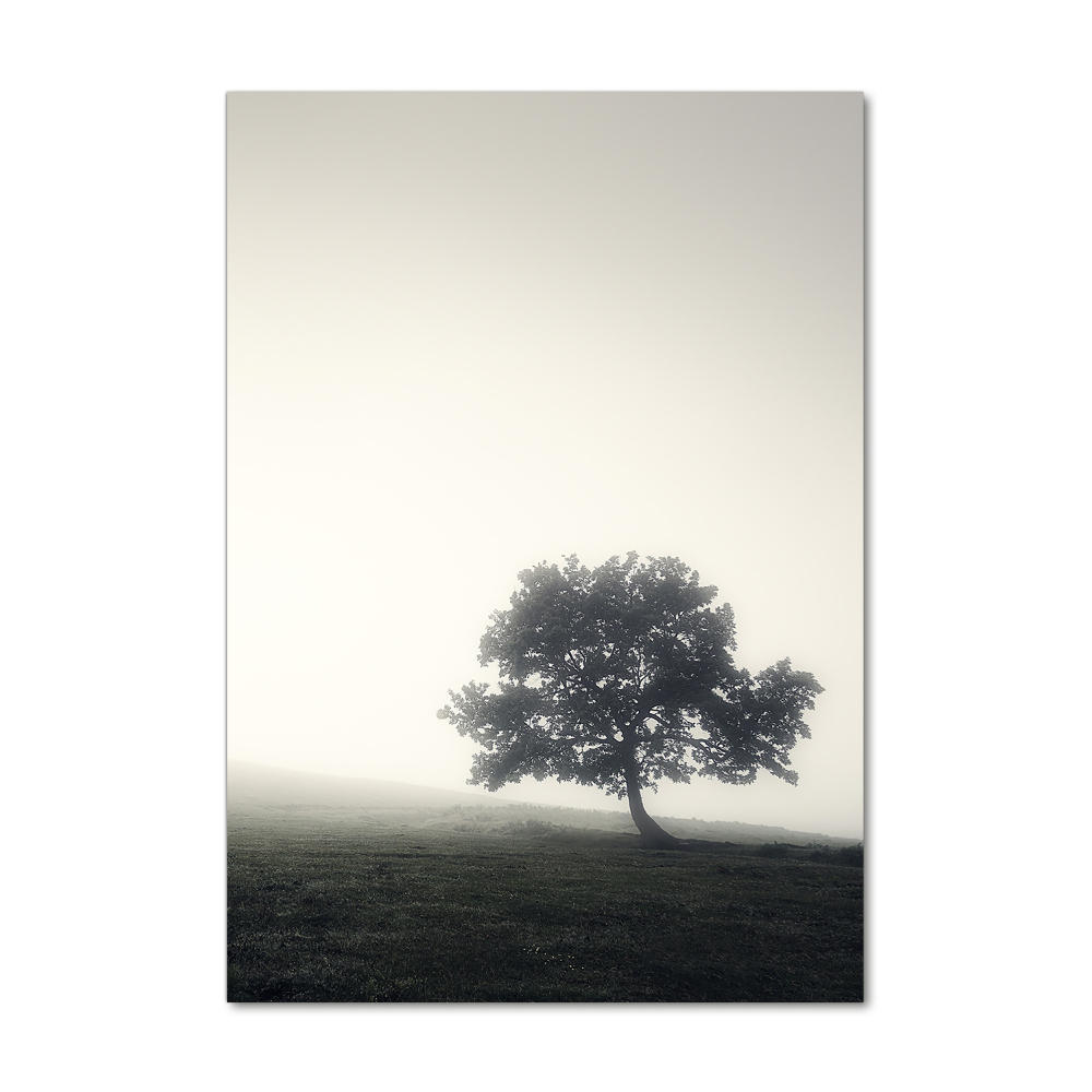 Tableau en verre Arbre dans la brume