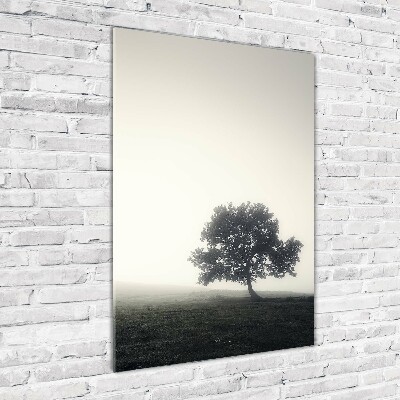 Tableau en verre Arbre dans la brume