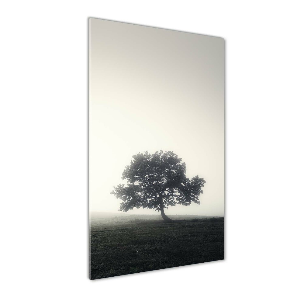 Tableau en verre Arbre dans la brume