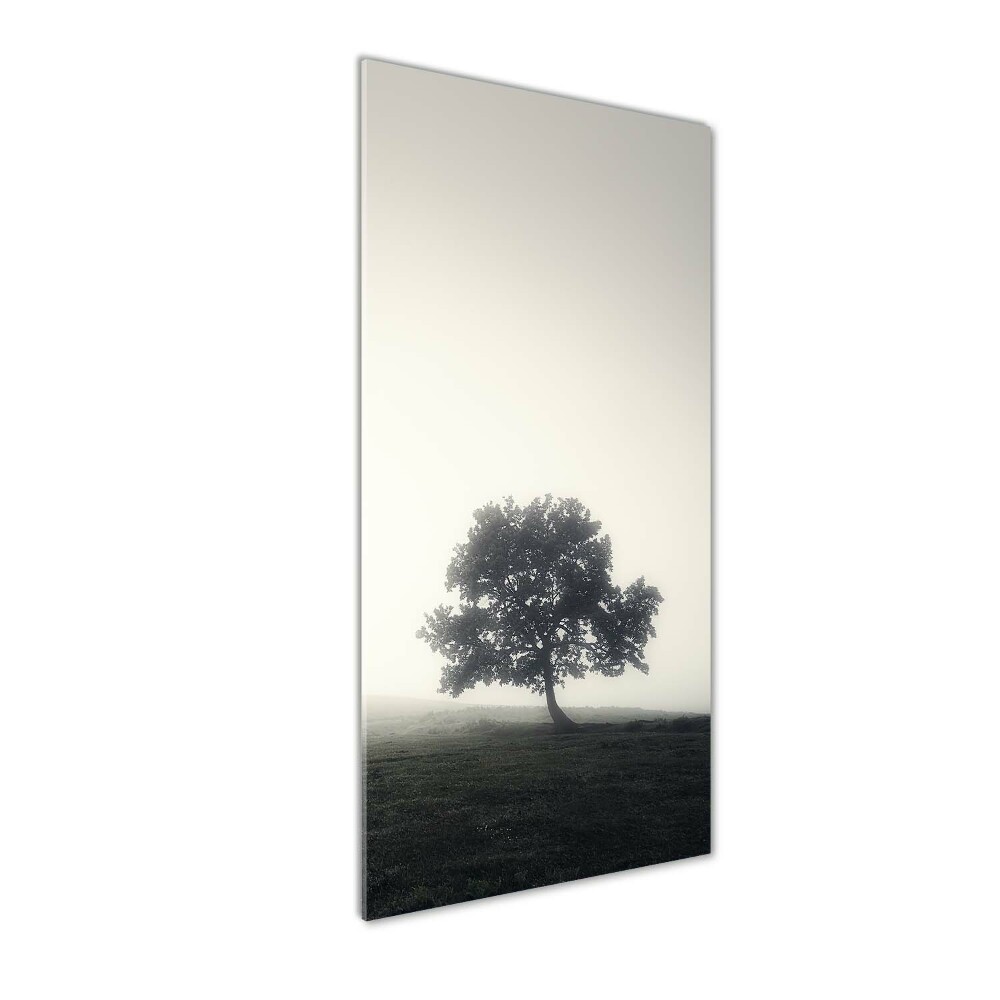 Tableau en verre Arbre dans la brume