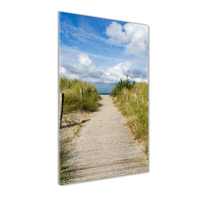 Tableau photo sur verre Sentier vers les plages