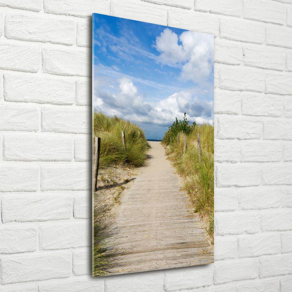 Tableau photo sur verre Sentier vers les plages