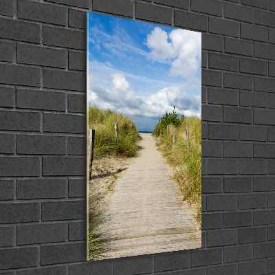 Tableau photo sur verre Sentier vers les plages