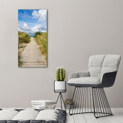 Tableau photo sur verre Sentier vers les plages